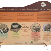 Massentierhaltung und ihre Auswirkung auf die Umwelt