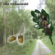 4-alteichen-der-eichenwald.v1