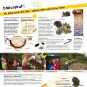 Bodenprofil