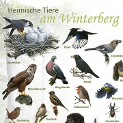 heimische tiere am winterberg 120x100.indd