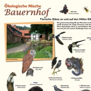 dörentrup-bauernhof.v1