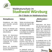 waldnaturschutz 3 säulen.indd