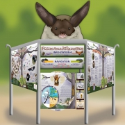 Burgwindheim Ansicht Fledermausgestell