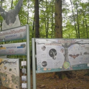 Burgwindheim Labyrinthstation