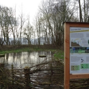 Wenningsen naturnaher Teich