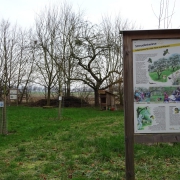 Wenningsen Streuobstwiese