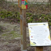 Wenningsen Bienenschaukasten