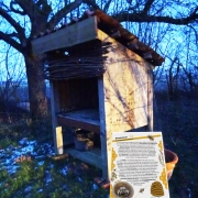 Wenningsen Bienenzaun