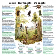 Lehrtafeln in 3 Sprachen (Französisch, Deutsch, Holländisch)