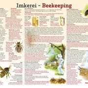 Imkerei - Beekeeping