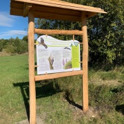 Naturschutzgebiet Stadtwald Göttingen