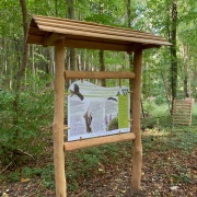 Naturschutzgebiet Stadtwald Göttingen